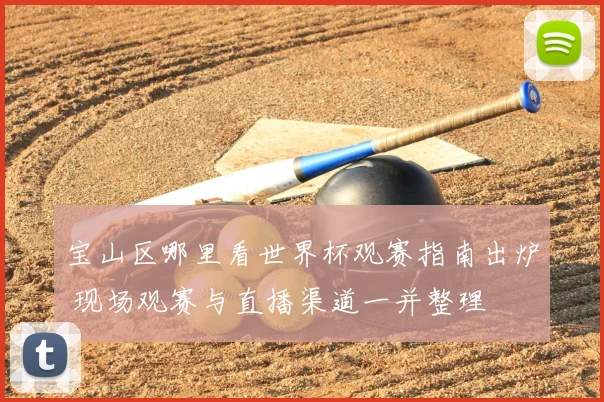 宝山区哪里看世界杯观赛指南出炉 现场观赛与直播渠道一并整理