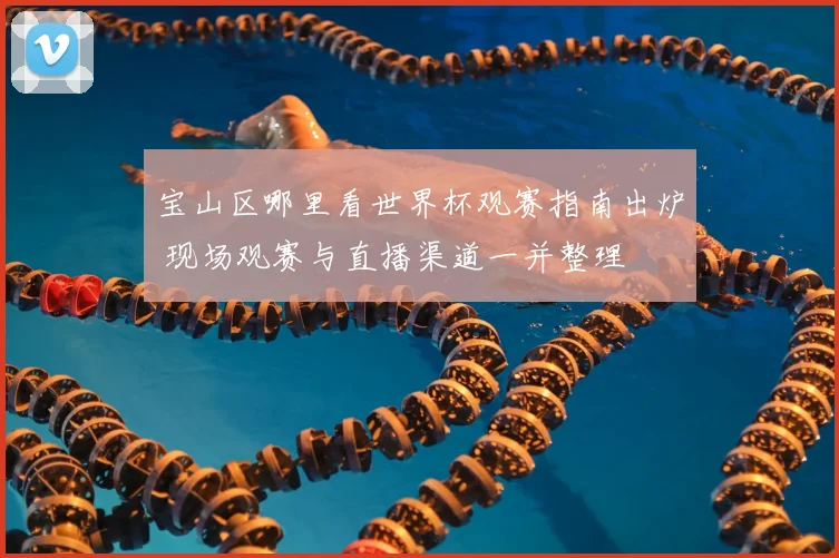 宝山区哪里看世界杯观赛指南出炉 现场观赛与直播渠道一并整理